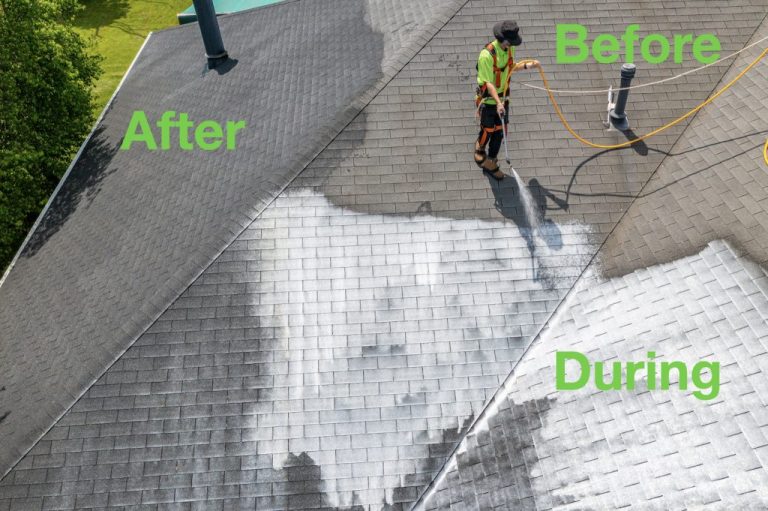 Roof Rejuvenation